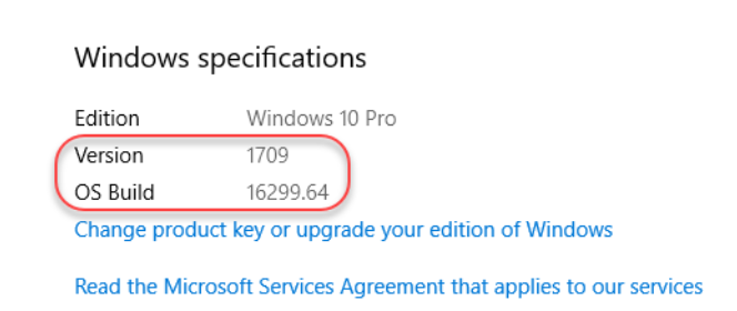 The Windows Specifications window with the version and OS Build fields circled with red.
