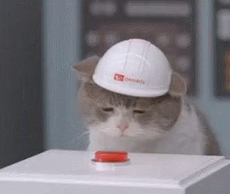 feline engineer pressing nuclear launch button.