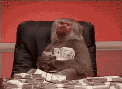A GIF of a monkey smiling, holding many wrapped $10 bills.